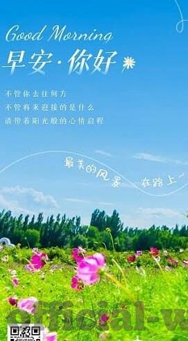 02世界杯最精彩-02世界杯最精彩的瞬间，激情与荣耀的碰撞