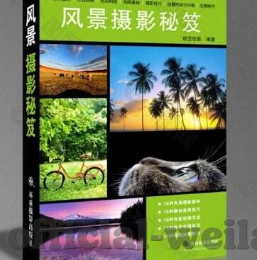 荷兰踢谁没有进世界杯-荷兰队未能晋级世界杯，足球强队的遗憾与未来